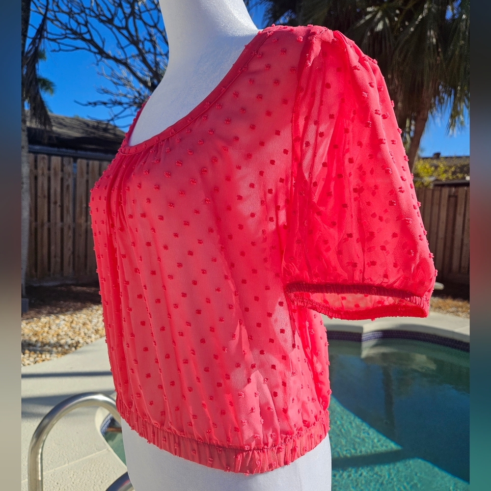 NEW Socialite Pink Sheer Blouse Size XS Feminine Romantic Cocquette Girl Summer - Picture 4 of 12